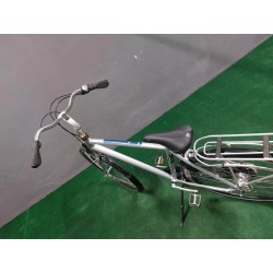 BATAVUS Tierra E-go..rama 54cm..NEXUS 7..