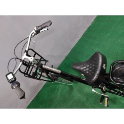 GAZELLE Miss Grace..rama 54cm..8.8Ah..317Wh..PANASONIC..